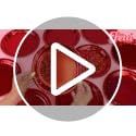 Red Foil Party Plates 25 Pack - Shimmer Disposable Cake & Celebration Tableware