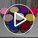 27-Piece Preserved Red Roses in Gift Box - Real Everlasting Flowers