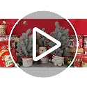 Hollyone Style 3 16.5in Christmas Potted Snowman Tree with Vase - Mini Desk Deco