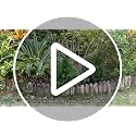 24.5-Inch Artificial Cedar Topiary Trees, UV-Resistant Faux Pine Shrubs - 4 Pack